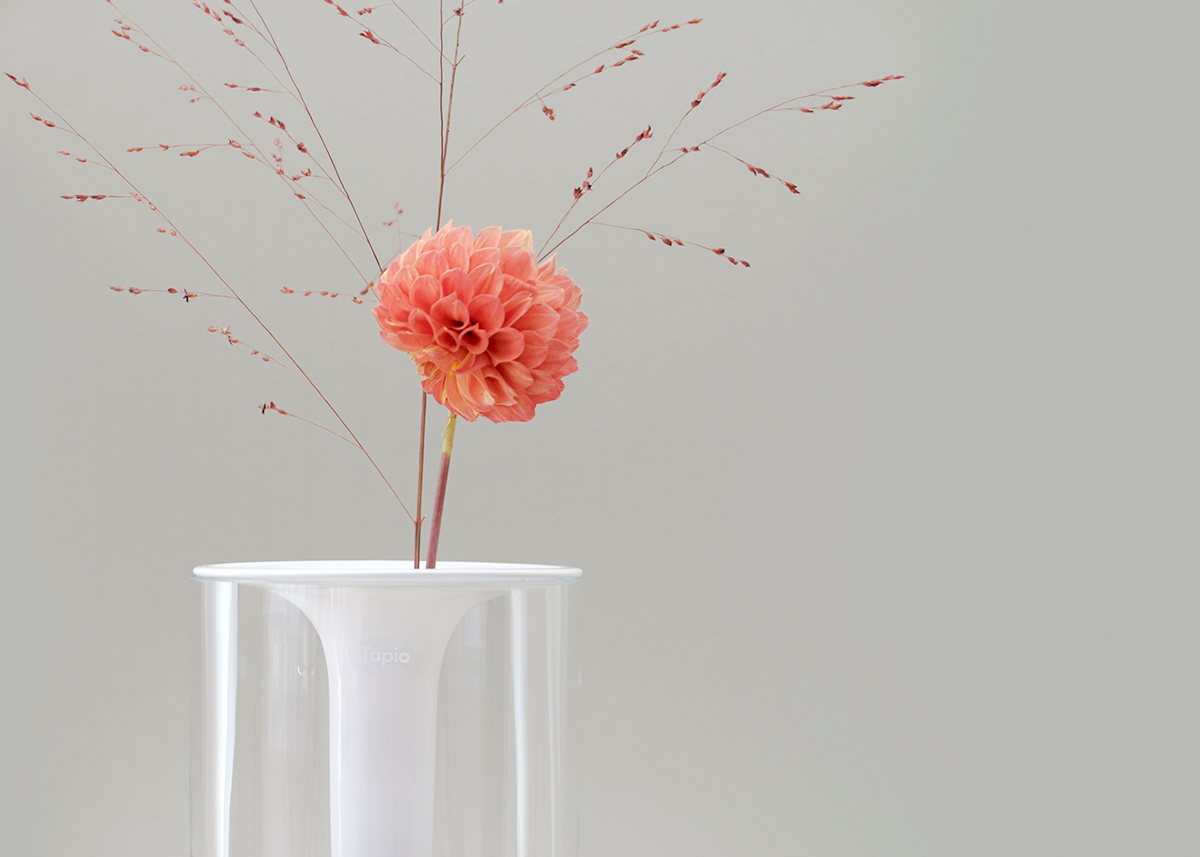 Kukalle, Antonio Gurrola & Dario Vidal